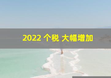 2022 个税 大幅增加